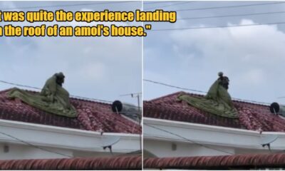 collage 2025 01 23T173946.910