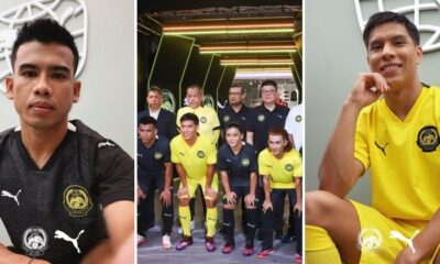 feat image harimau malaya