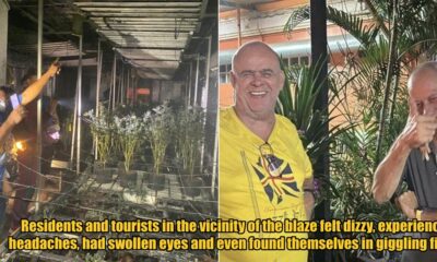 My Post 1 2025 02 17T172100.668