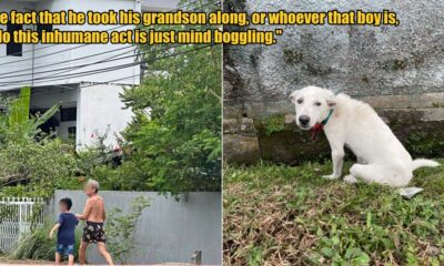 My Post 1 2025 02 20T164603.770