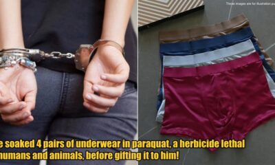 My Post 1 2025 02 25T115133.857