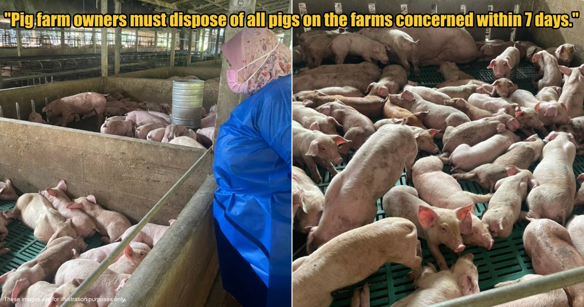 My Post 1 2025 02 26T151210.256 1