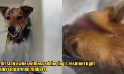 My Post 1 2025 03 04T103415.669