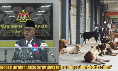 My Post 1 2025 03 04T163025.637