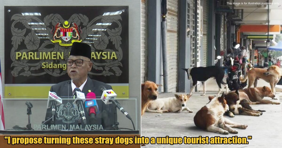 My Post 1 2025 03 04T163025.637