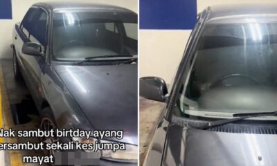 feat image decomposing body