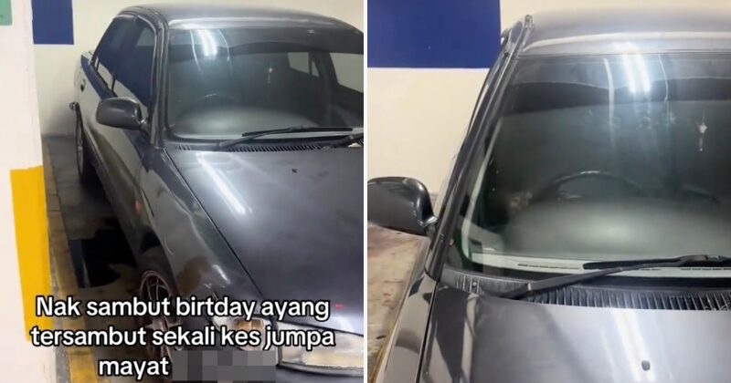 feat image decomposing body