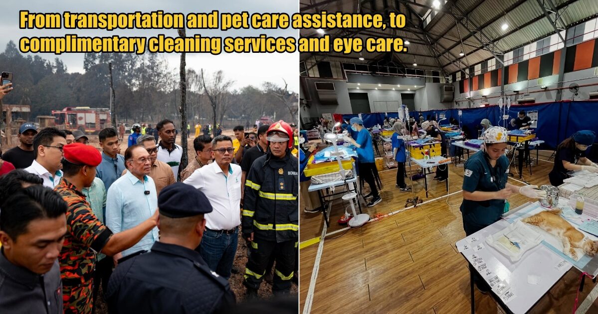 My Post 1 2025 04 02T171548.438