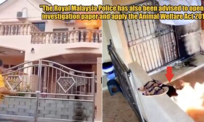 My Post 1 2025 04 08T101749.120