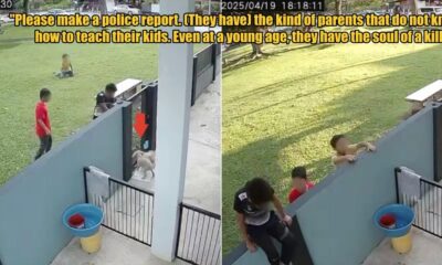 My Post 1 2025 04 24T162644.555