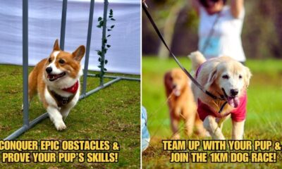 Subheading 2025 04 07T092616.842 1