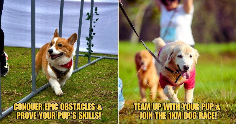 Subheading 2025 04 07T092616.842 1