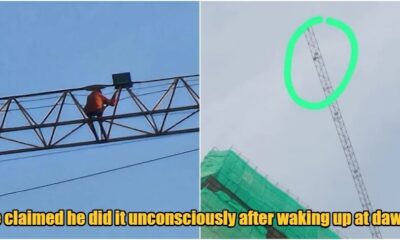 collage 2025 04 08T134142.035