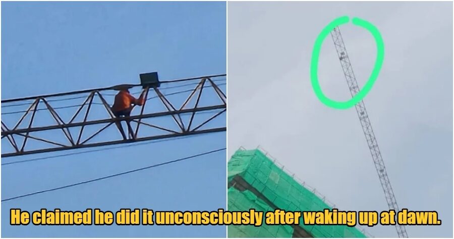 collage 2025 04 08T134142.035