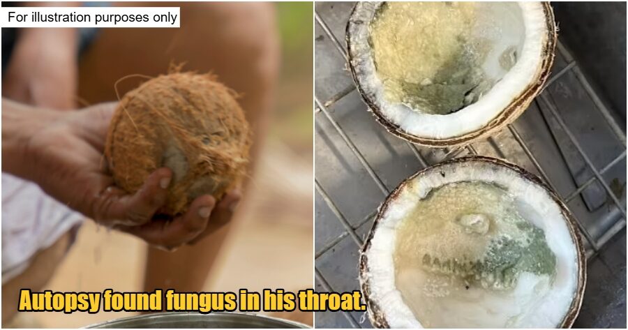 collage 2025 04 08T152338.949