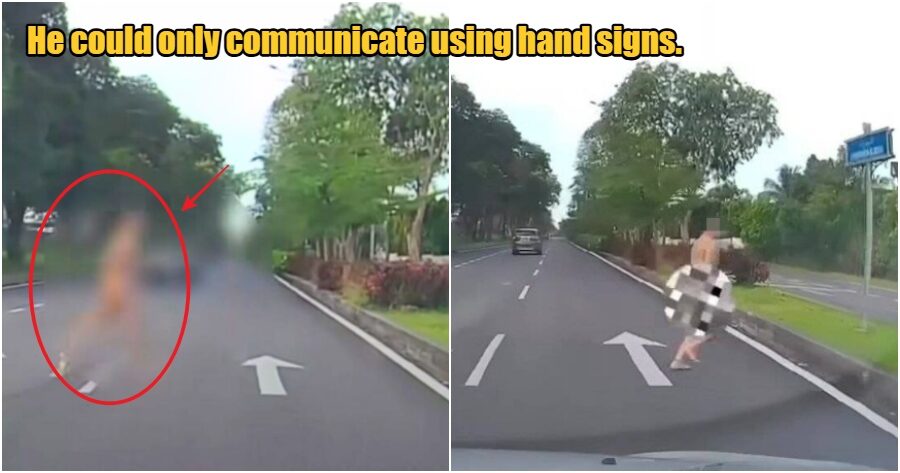 collage 2025 04 09T111600.030