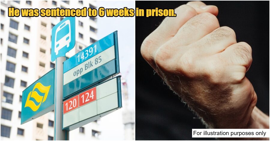 collage 2025 04 09T163520.701