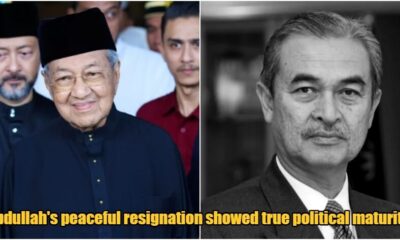 collage 2025 04 15T162153.375