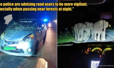 My Post 1 2025 05 14T121835.137