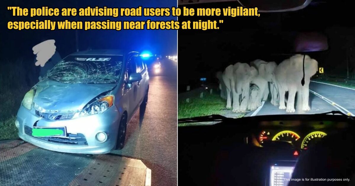 My Post 1 2025 05 14T121835.137