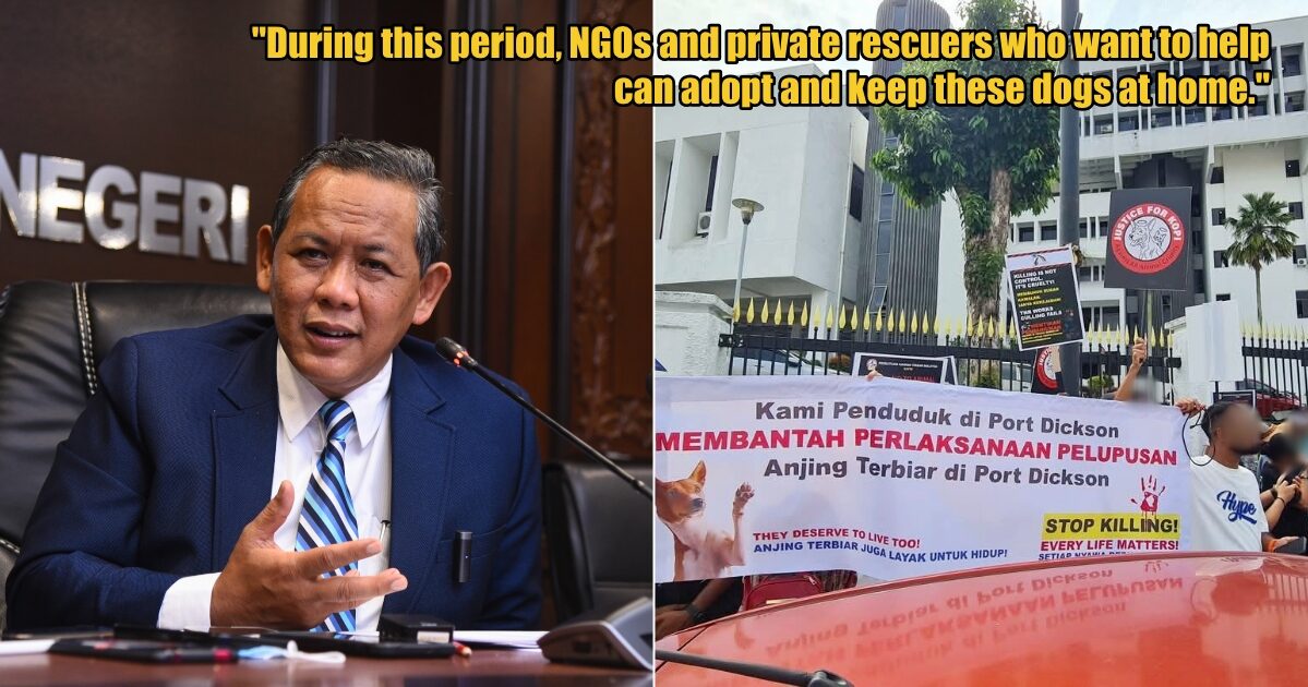 My Post 1 2025 05 14T155440.747