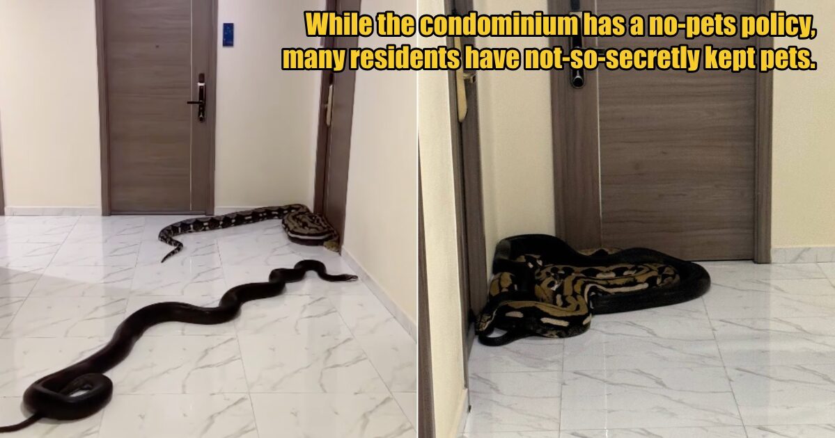 My Post 1 2025 05 21T164536.825 1