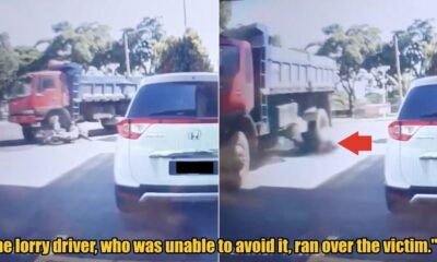 My Post 1 2025 05 26T103004.606