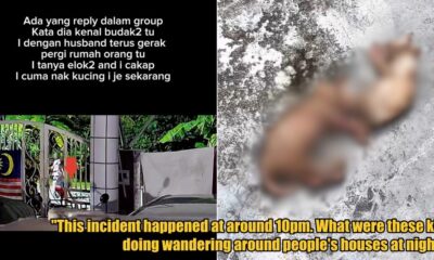 My Post 1 2025 05 26T161628.967