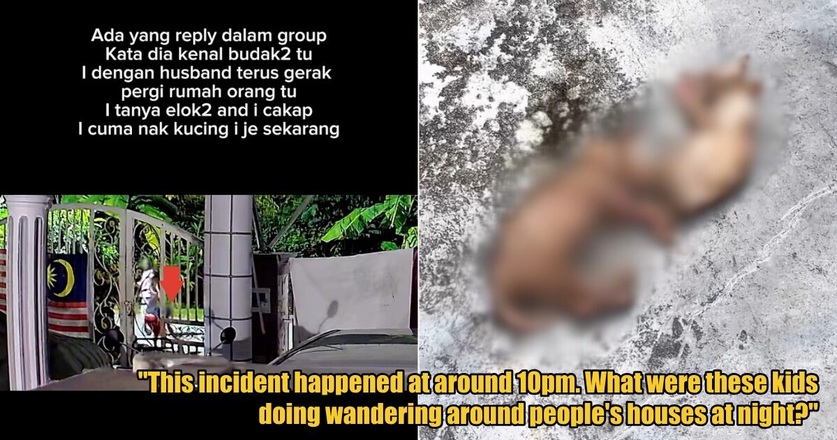 My Post 1 2025 05 26T161628.967