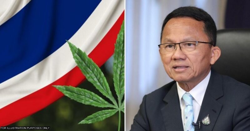 feat image cannabis thai1