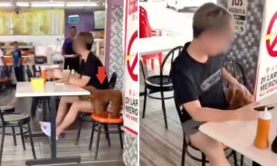 feat image dog segamat