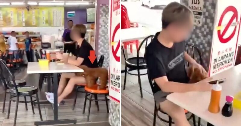 feat image dog segamat