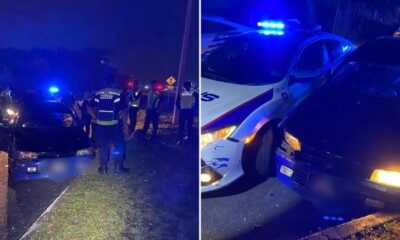 feat image rogue lovers