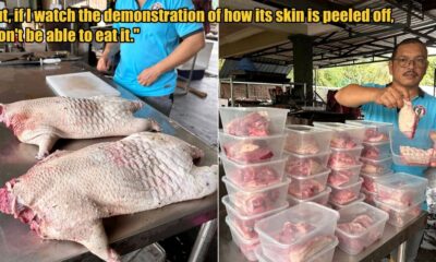 My Post 1 2025 06 04T134218.119