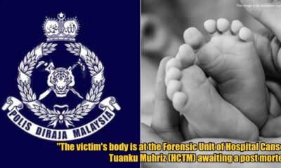 My Post 1 2025 06 06T100618.167