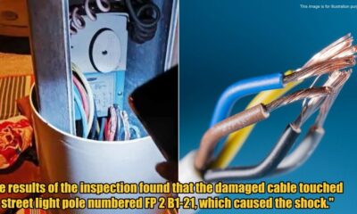 My Post 1 2025 06 06T160706.962