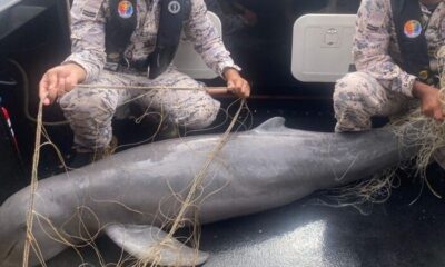 feat image kedah irrawaddy