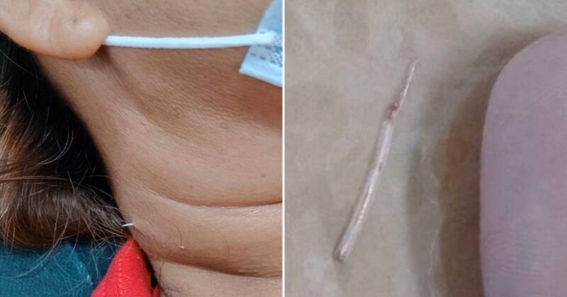feat image pierce