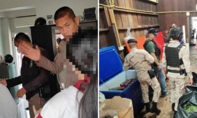 feat image ketum thai