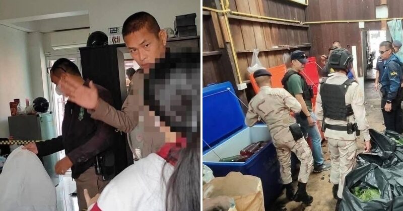 feat image ketum thai