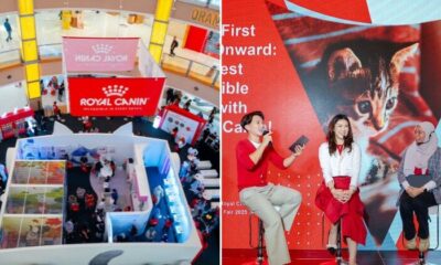 Copy of Subheading 15