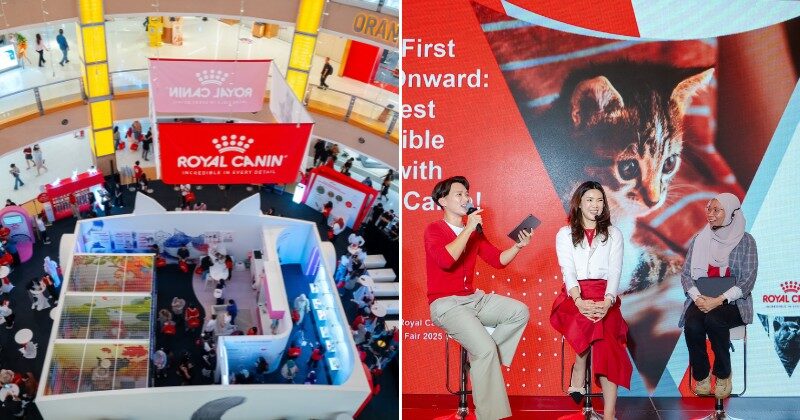 Copy of Subheading 15