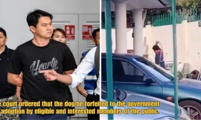 Dd FT 2025 08 08T104315.671