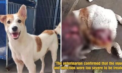 Dd FT 2025 08 18T093202.599