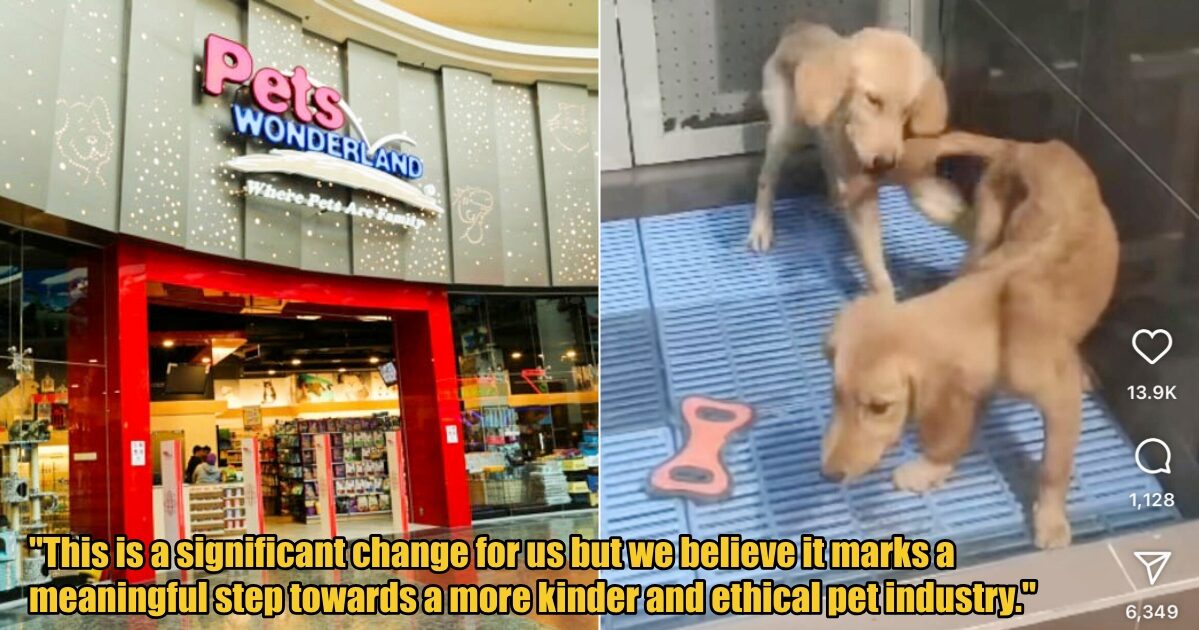 My Post 1 2025 08 06T144619.004