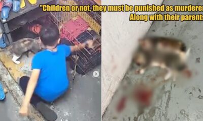 My Post 1 2025 08 11T115554.801