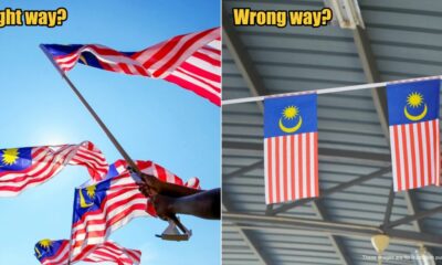 My Post 1 2025 08 11T164645.826 2