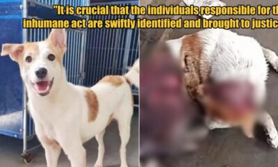 My Post 1 2025 08 22T113120.254