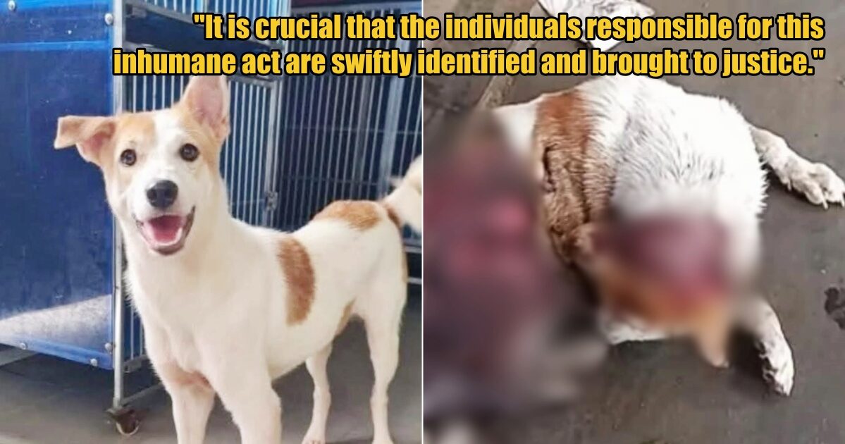 My Post 1 2025 08 22T113120.254