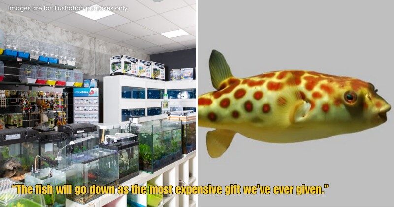 Dd FT 2025 09 17T115142.941